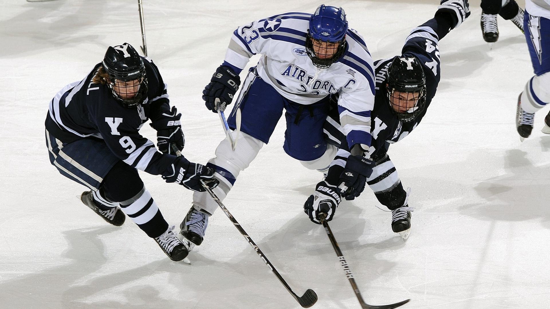 戈贝尔，沉默巨塔的觉醒，老鹰逆袭黄蜂的终极密码